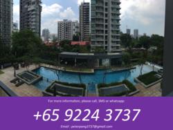 Montebleu (D11), Condominium #121883832